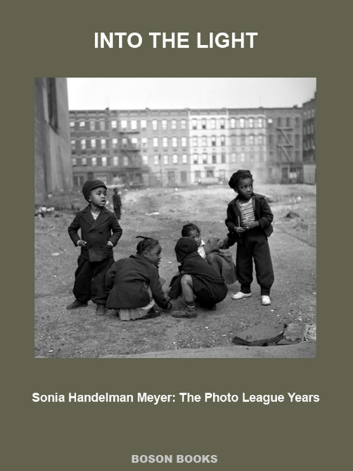 Title details for Into the Light by Sonia Handelman Meyer - Available